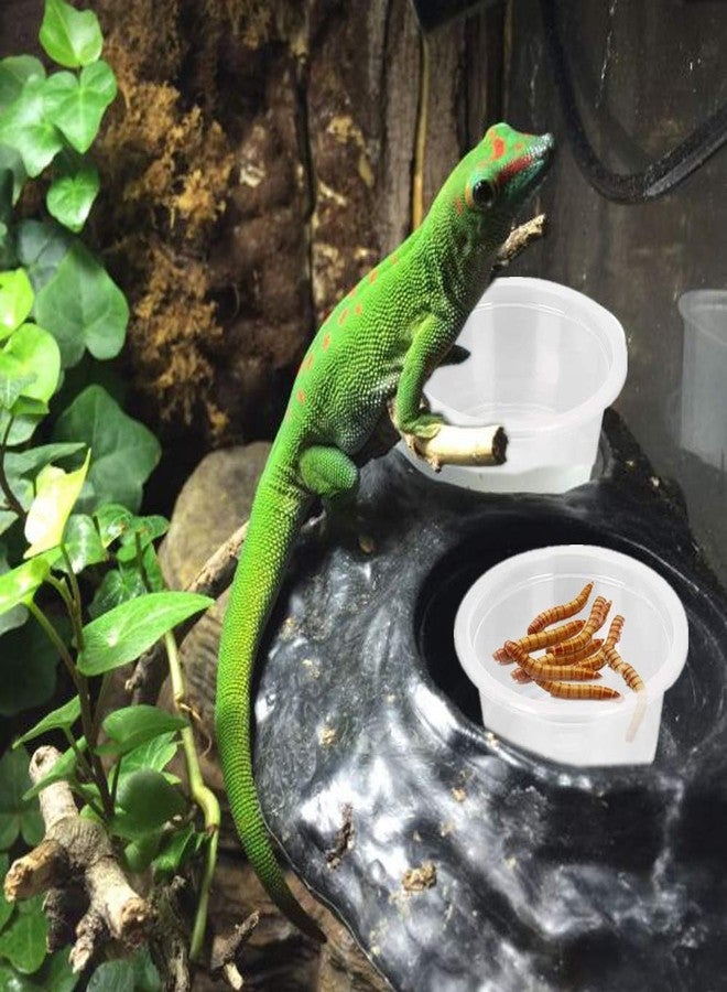 WOLEDOE 100Pcs Crested Gecko Food Dish, 0.5oz Plastic Reptile Feeding Cups - Image 4
